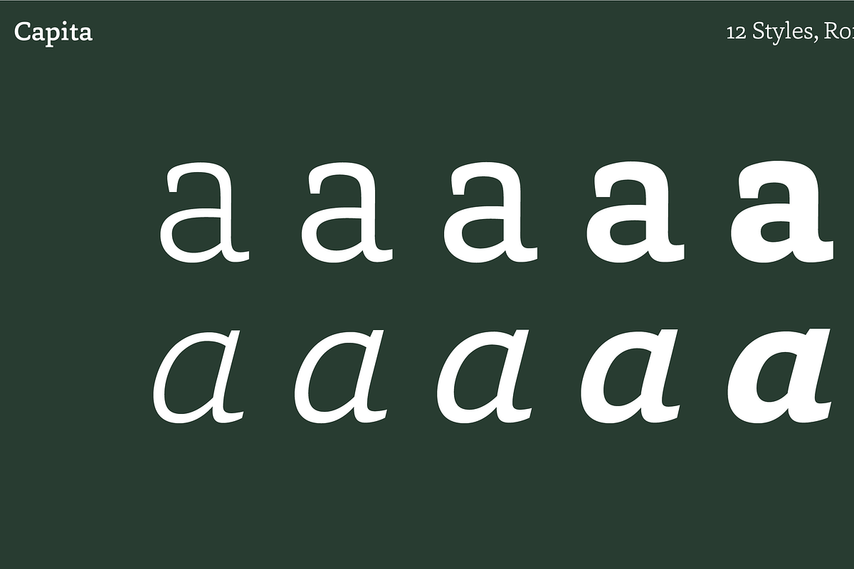 Capita, a Serif Font by Hoftype (Photo 10 of 15)