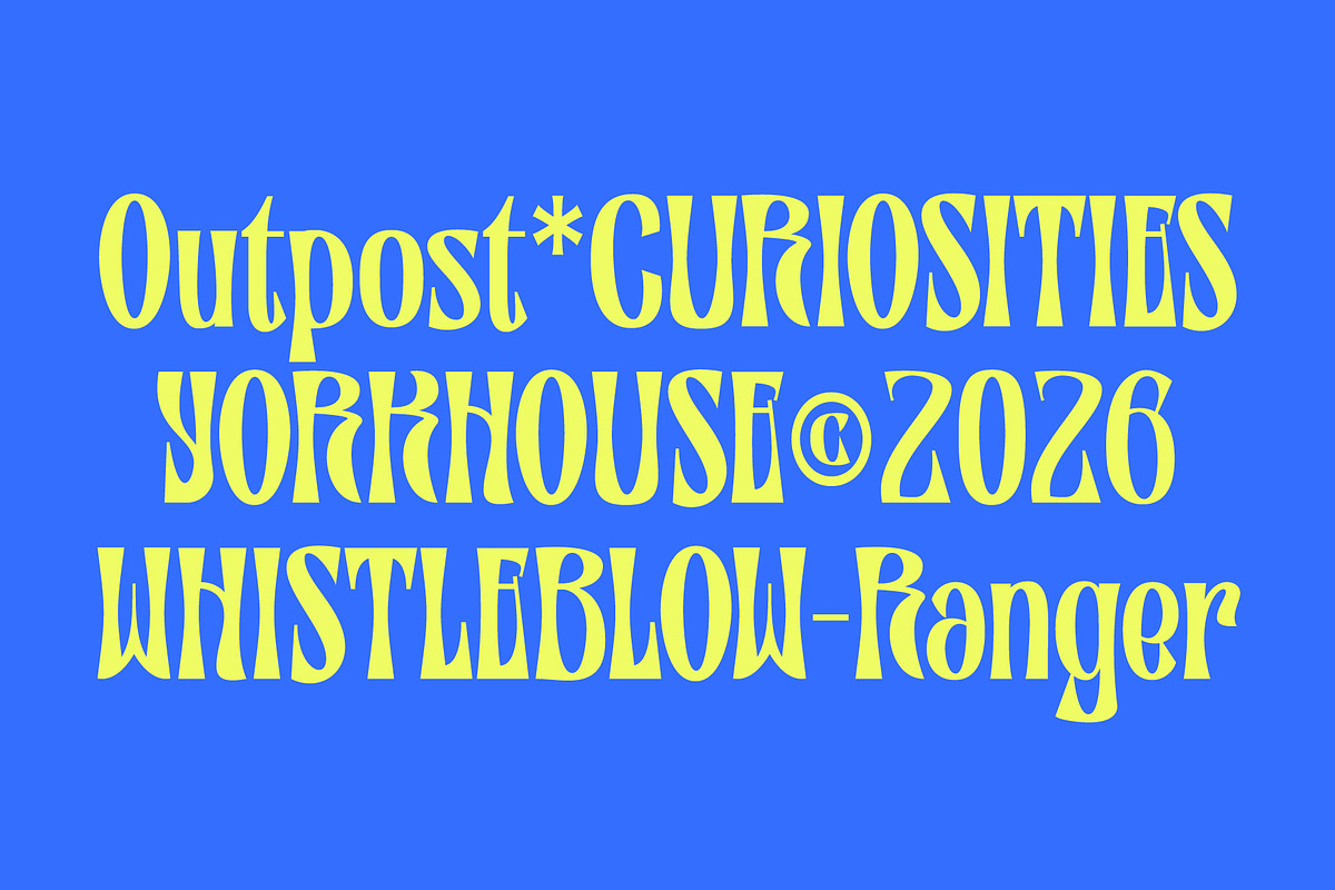 NORG — Condensed Display, a Serif Font by Get Studio (Photo 5 of 8)