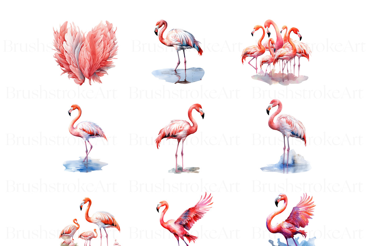 Flamingo Watercolour Clipart, an Animal Illustration by BrushstrokeArtGB (Photo 4 of 9)