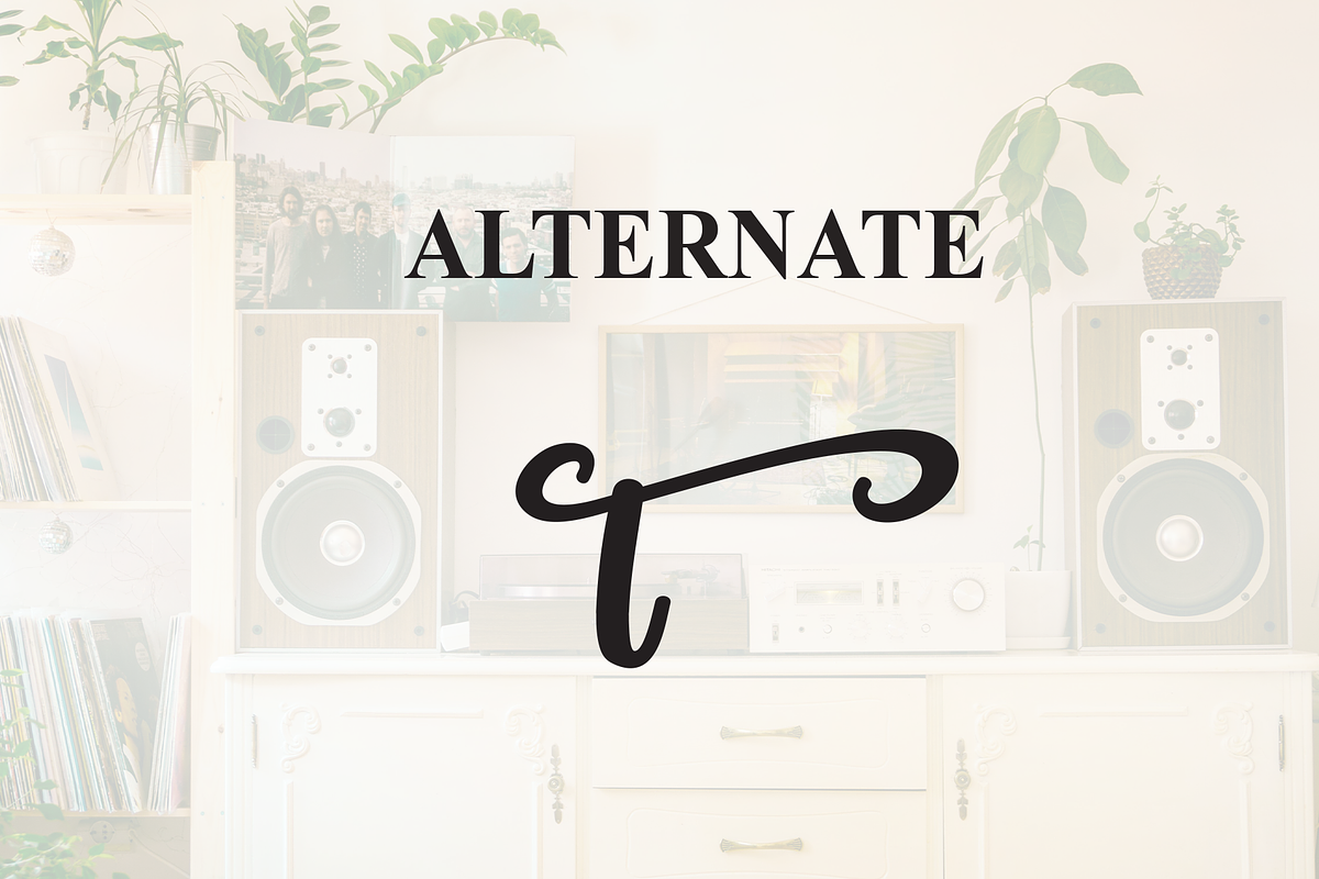 Vintage | Script Font, a Handwritten Font by Scratchones (Photo 8 of 9)