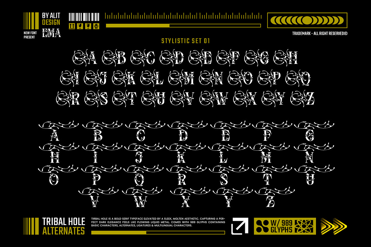Tribal Hole Typeface, a Serif Font by alit design (Photo 2 of 20)
