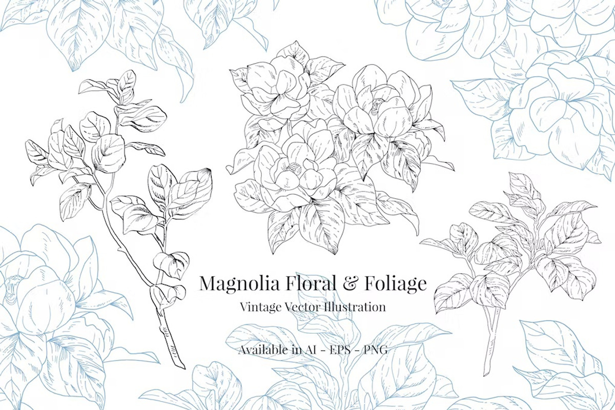 Magnolia Floral &Foliage, a Decorative Illustration by FDR Studio