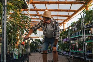 Florist caring for plants, watering, a Nature Photo by HalfPoint