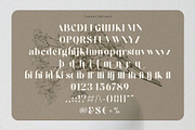 Cabinest – Contrast Sans Serif, a Sans Serif Font by BrandSemut (Thumbnail 12 of 12)