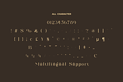 Gagile Aigusta - Modern Display Font, a Serif Font by Zakazis (Thumbnail 4 of 6)