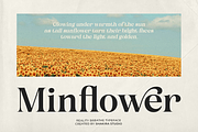 Reality Breathe - Modern Serif, a Serif Font by Shakira Studio (Thumbnail 5 of 10)