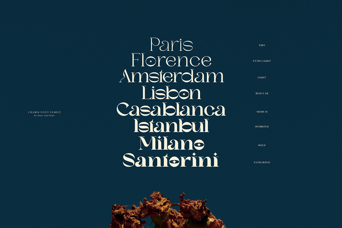 SNS Charis Font Family, a Serif Font by Sans & Sons (Photo 2 of 10)