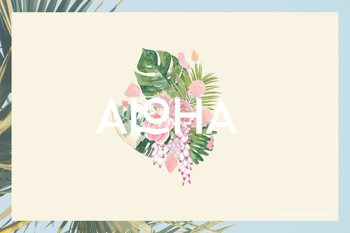 Tropical Romance modern floral rose, an Illustration by January Bloom (Photo 8 of 29)