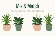 HOUSEPLANT ILLUSTRATION SET, an Object Illustration by OREHOVKA (Thumbnail 4 of 4)