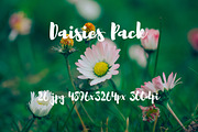 Daisies Pack, a Templates & Theme by ApertureVintage (Thumbnail 10 of 14)