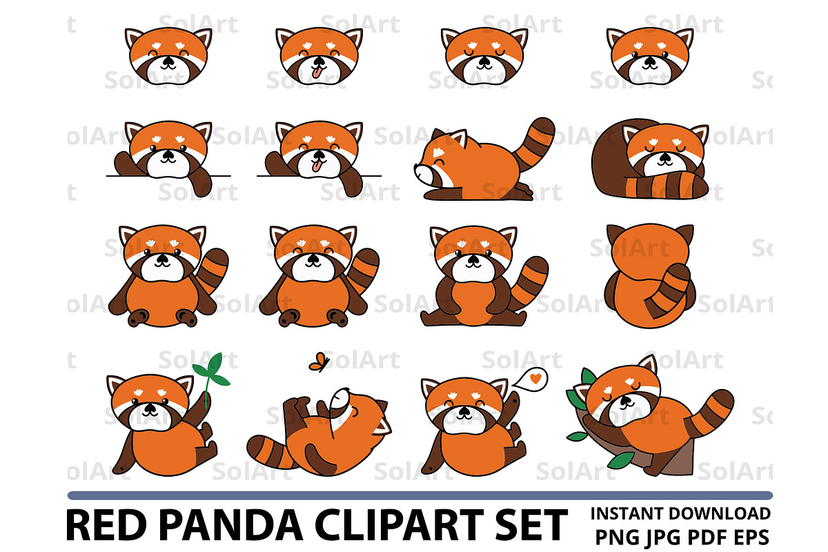 Red panda clipart set, an Animal Illustration by Solart