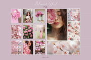 230 Spring Stock Photos Blossom girl, a Beauty & Fashion Photo by Allure Art (Thumbnail 31 of 39)