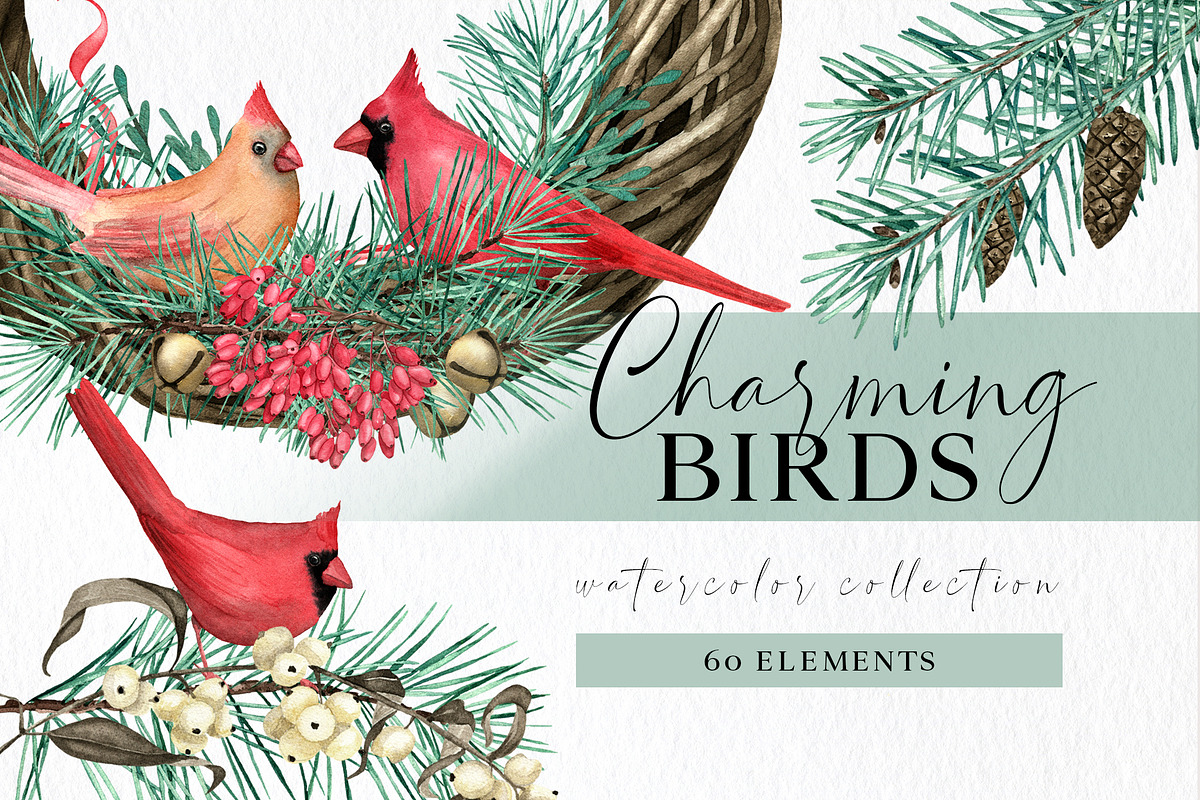 Christmas Teal Clipart Cardinal Bird, an Illustration by Ksenia Shmakova (Photo 1 of 16)