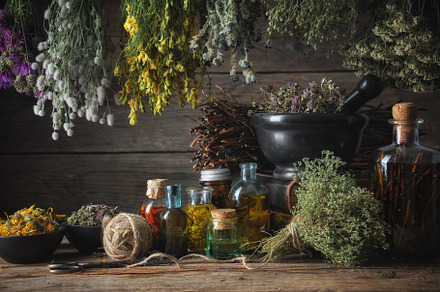 Medical herbs bunches, oil bottles., a Health & Medical Photo by chamillewhite