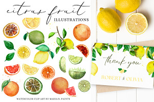 Citrus Fruit Watercolor Clipart Set