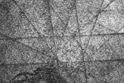 Letterpress Textures + Brush Pack, a Texture Graphic by The Warehouse (Thumbnail 4 of 5)