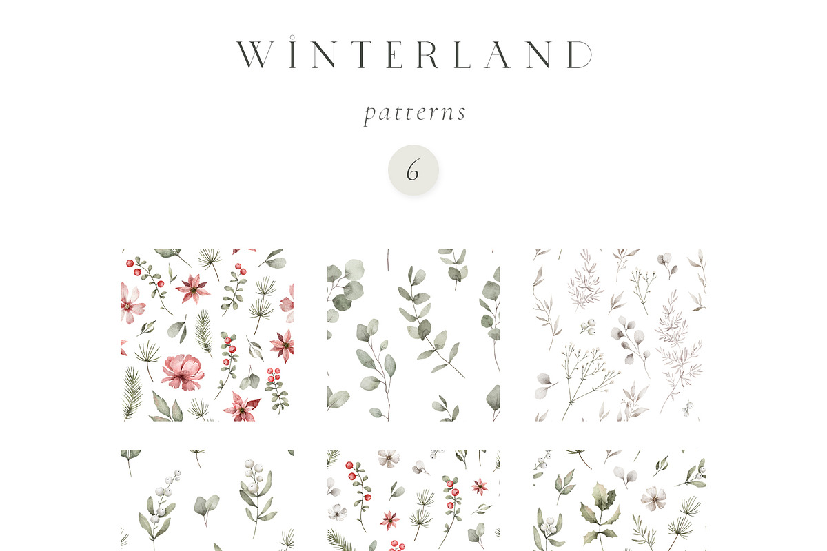 Watercolor Winter. Christmas florals, an Illustration by Kreker Kate (Photo 8 of 10)