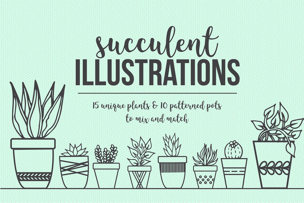 Hand Drawn Succulent Illustrations, an Illustration by Hannah Eliza Studio (Photo 2 of 6)