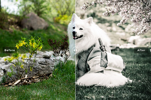 My Dog Lightroom Presets