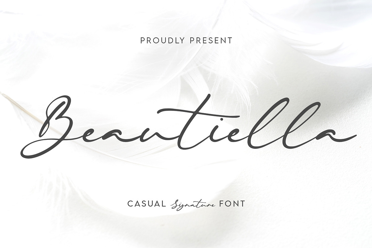 Beautiella - Casual Signature Script, a Script Font by Almarkhatype (Photo 1 of 10)