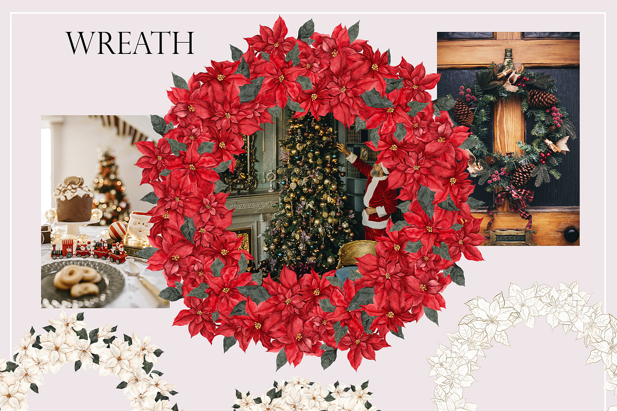 Poinsettia. Christmas Flower, an Object Illustration by ma_i_vi (Photo 6 of 10)