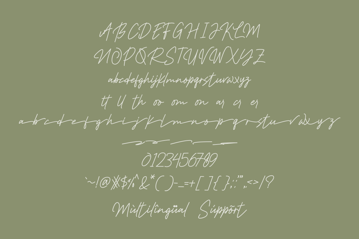 Balioo Rene - Script Monoline font, a Script Font by GFRcreative (Photo 5 of 6)