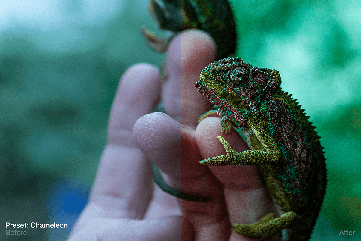 Green Summer - 5 Lightroom Presets, an Action Add-On by maximakesthings (Photo 2 of 5)