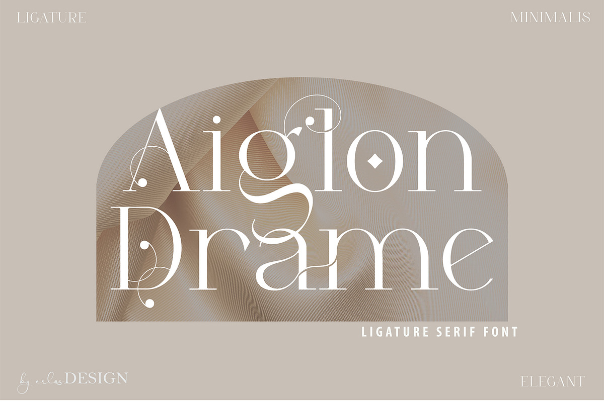 Aiglon Drame - Modern Ligature Serif, a Serif Font by erlosDESIGN (Photo 1 of 13)