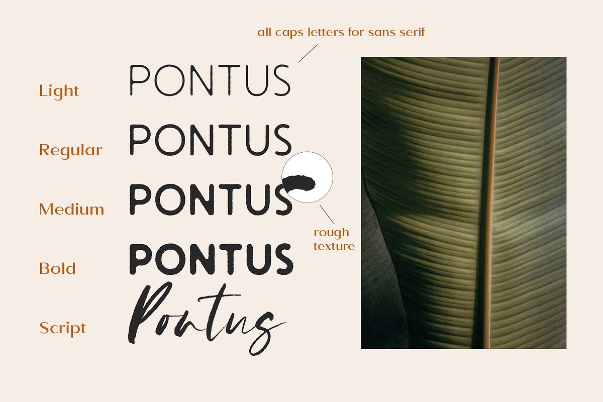 Pontus preview 4