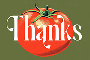Ketchup Vintage Modern Serif, a Serif Font by timelesstype.co (Thumbnail 20 of 20)