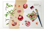 Pomegranates Watercolor collection, a Food Illustration by Farida Bik (Thumbnail 5 of 15)