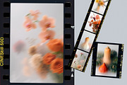 Harvest – Blurry Autumn Backgrounds, a Background Graphic by divanovskaya_nv (Thumbnail 9 of 18)