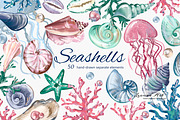 Seashells Clipart Collection, a Seasonal Illustration by Leonaa art (Thumbnail 1 of 9)