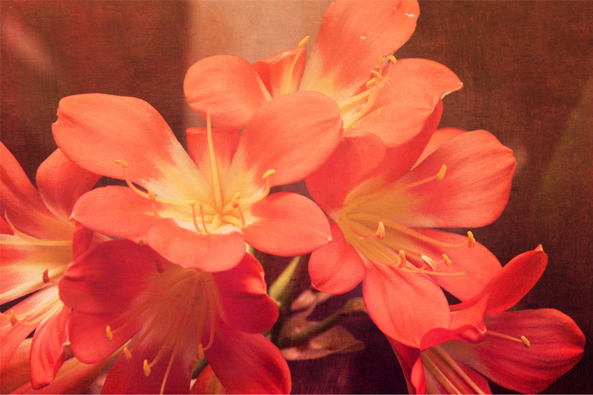 Brushed Digital Art Textures, a Texture Graphic by Alegreya (Photo 4 of 5)