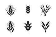 Wild Grass & Grain Vector Set, an Illustration by BIPLOB EXPERT (Thumbnail 6 of 9)