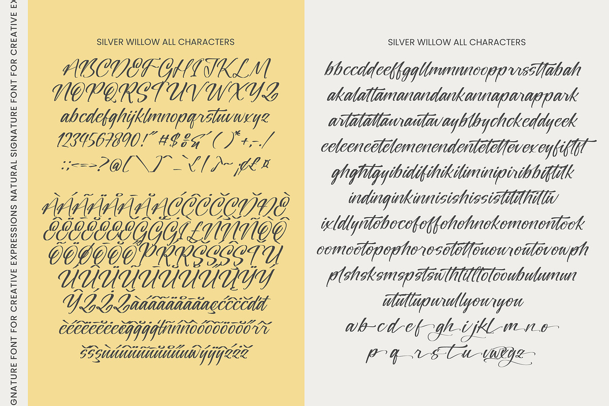 Silver Willow Natural Signature Font, a Script Font by stylishtype.co (Photo 10 of 10)
