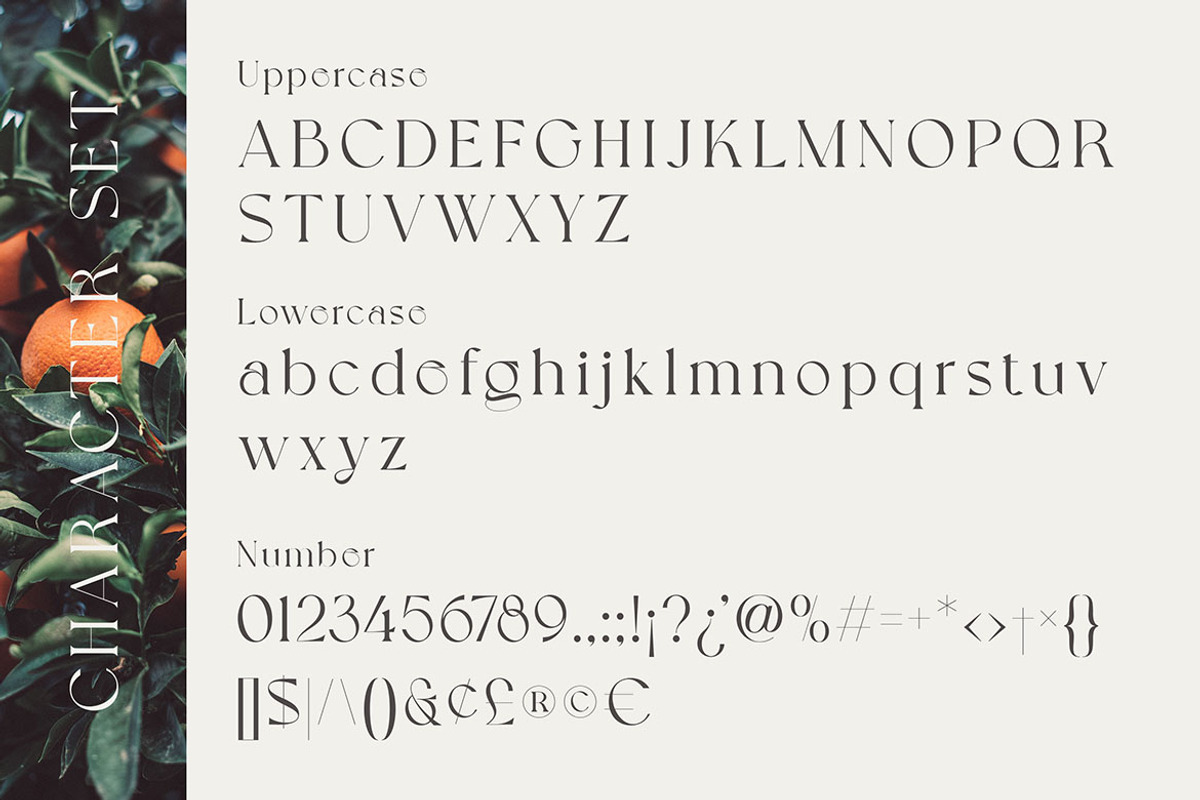 Grapevine - Modern Serif Font, a Serif Font by Cruzine (Photo 6 of 8)