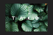 NONLOCAL Modern Sans Serif, a Sans Serif Font by DiosiArt (Thumbnail 9 of 9)