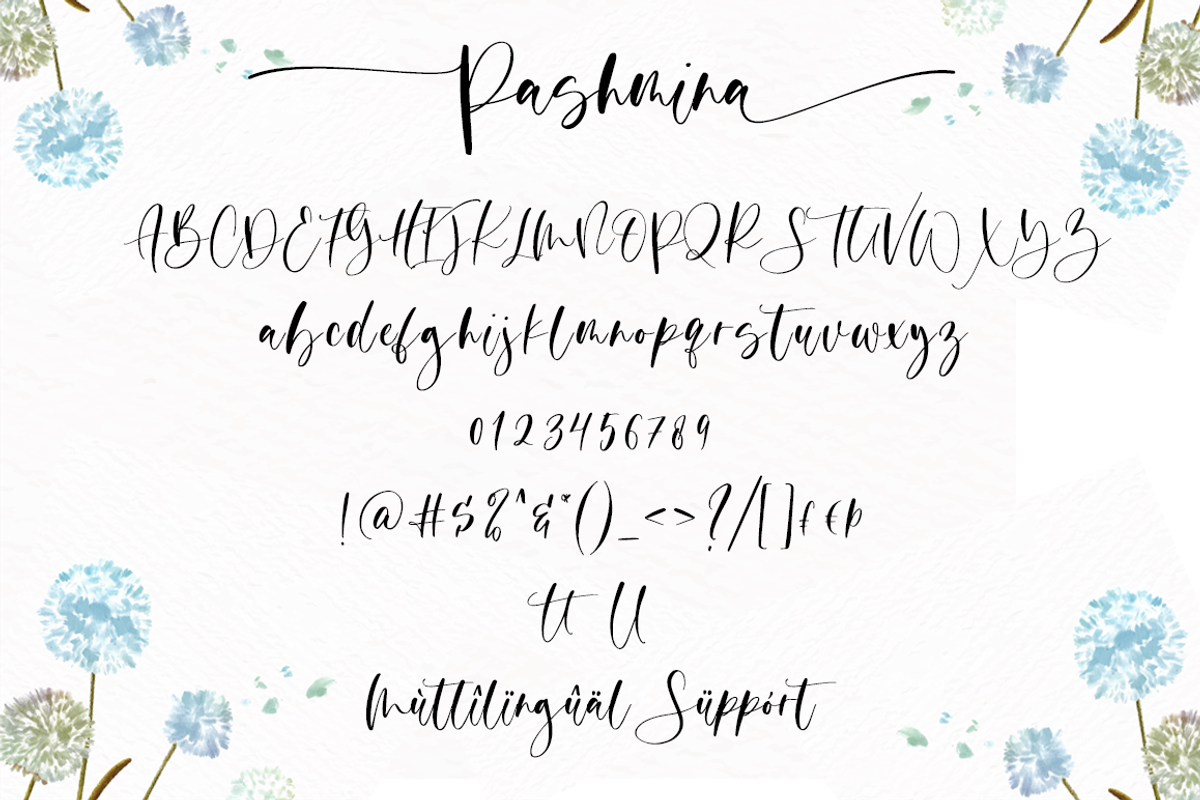 Pashmina, a Script Font by Sronstudio (Photo 9 of 10)