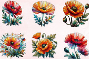 Watercolor California Poppies Clipar, an Illustration by Designking (Thumbnail 3 of 4)