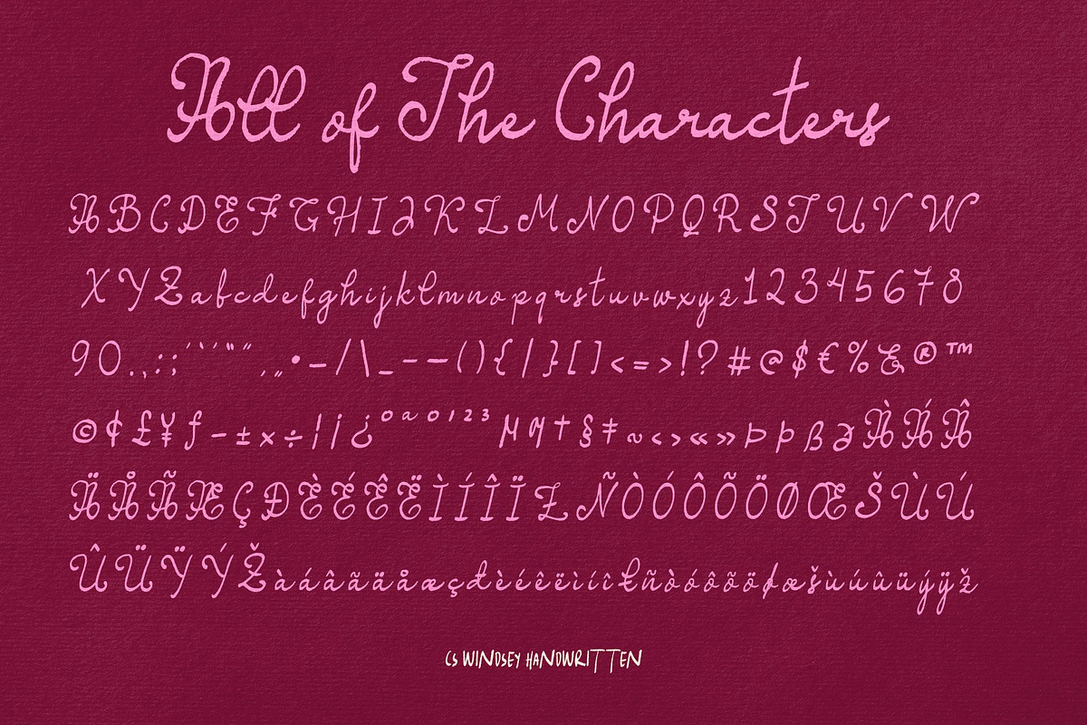 CS Windsey - Duo Font, a Handwritten Font by Craft Supply Co. (Photo 7 of 8)