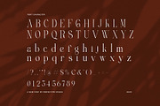 Angella Elegant Serif Font, a Serif Font by Perfectype (Thumbnail 8 of 8)