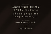Bragget Elegant Serif Font, a Serif Font by Perfectype (Thumbnail 6 of 8)