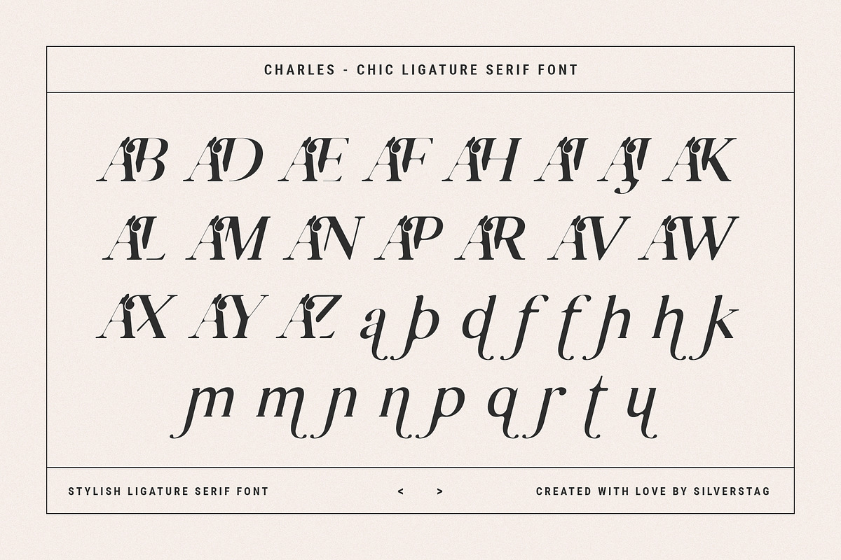 Charles - Ligature Serif Font Family, a Serif Font by SilverStag Type Foundry (Photo 30 of 32)