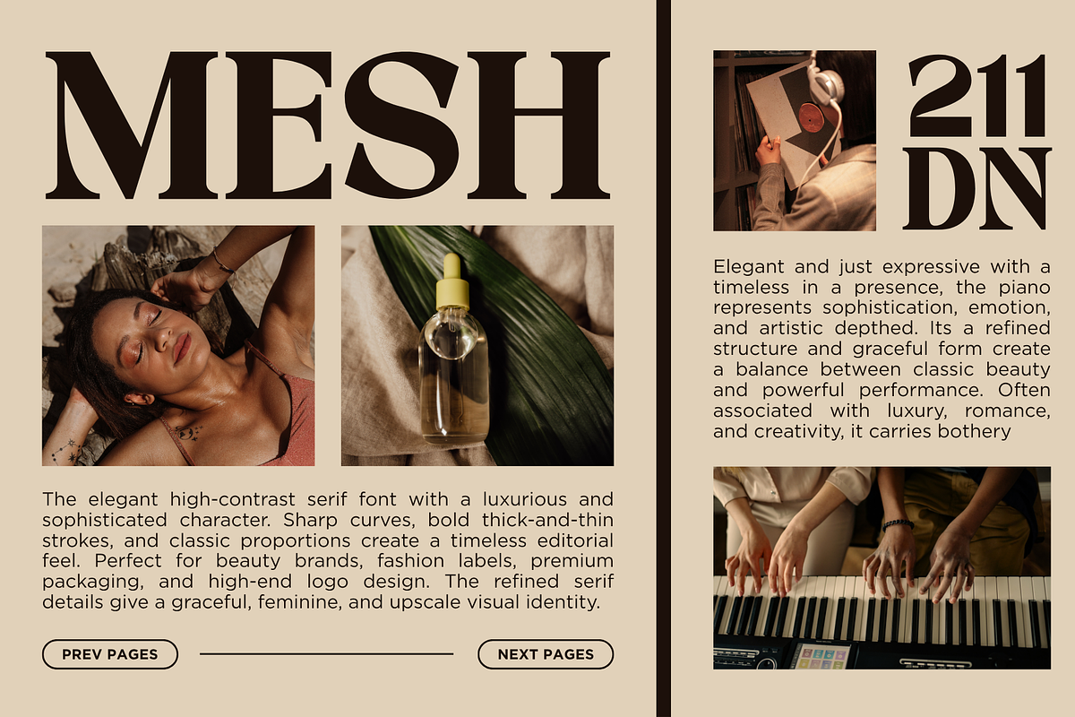 Quishe – Modern Elegant Serif, a Serif Font by MaikoHatta (Photo 2 of 8)