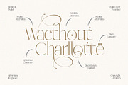 Midnight Obstacle, a Serif Font by Godbless Studio (Thumbnail 4 of 14)