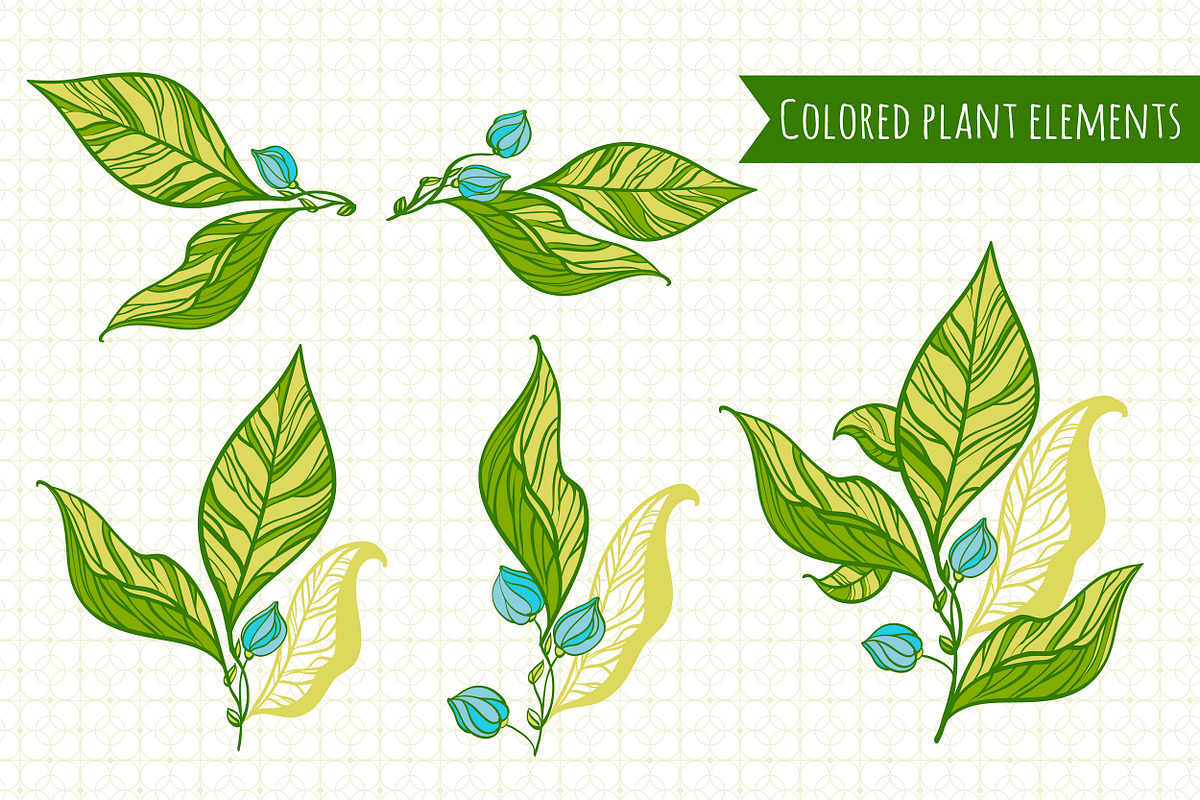 Herbal collection (+bonus), an Object Graphic by Fresh-shop (Photo 2 of 7)