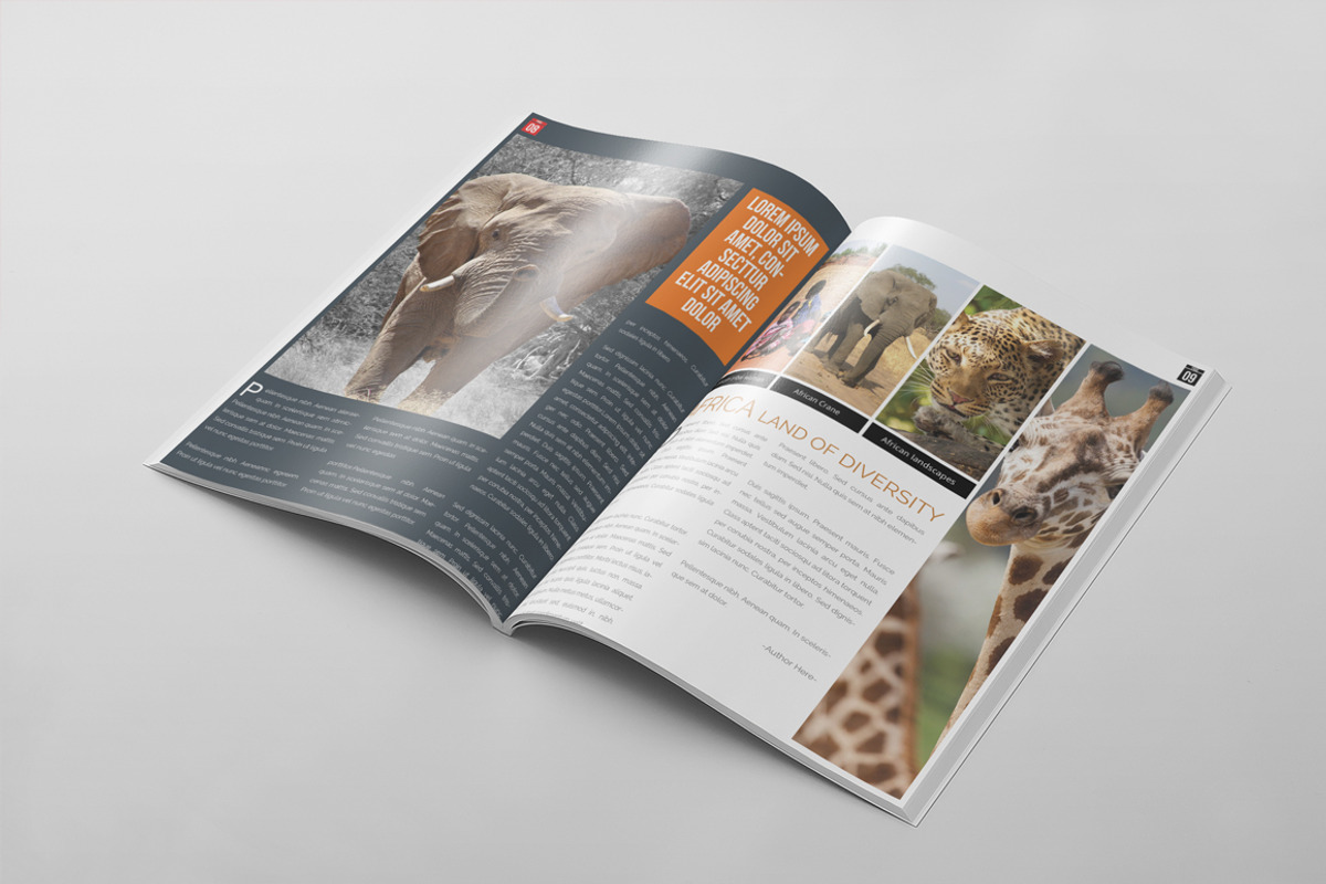 Magazine Template 41, a Magazine Template by pmvch (Photo 9 of 10)