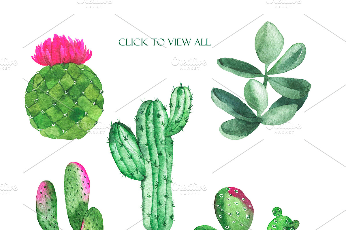 Cactus collection, an Illustration by Watercolor & sketches (Photo 2 of 7)