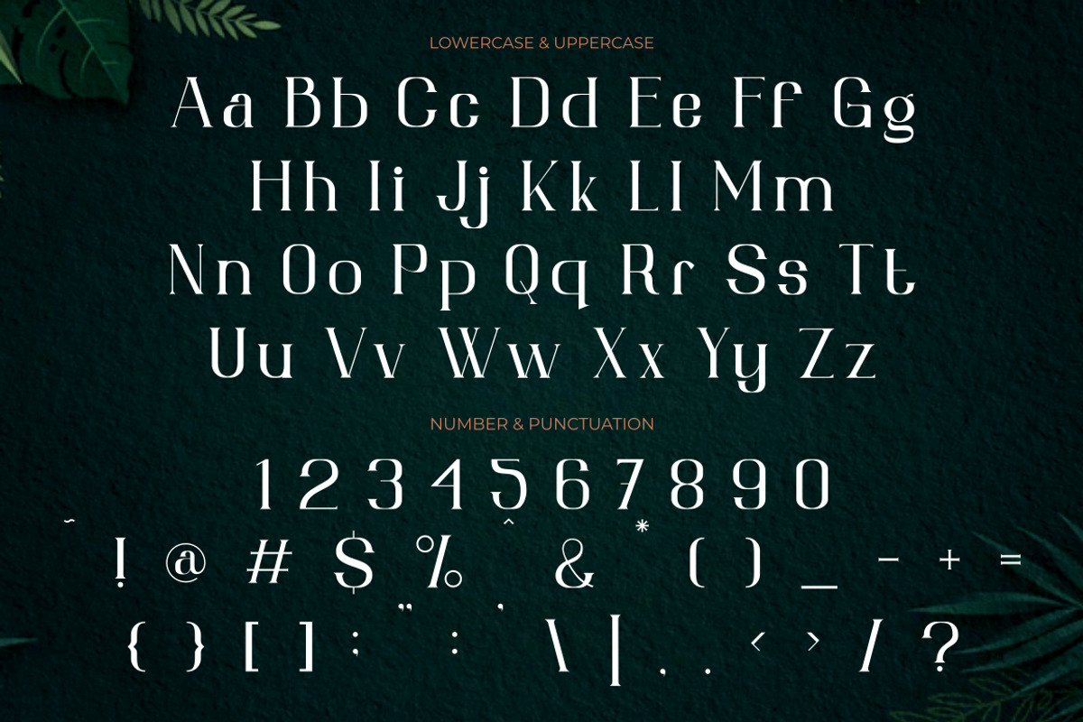Chester Chesire - Elegant Font Duo, a Font by PutraCetol Studio (Photo 13 of 13)